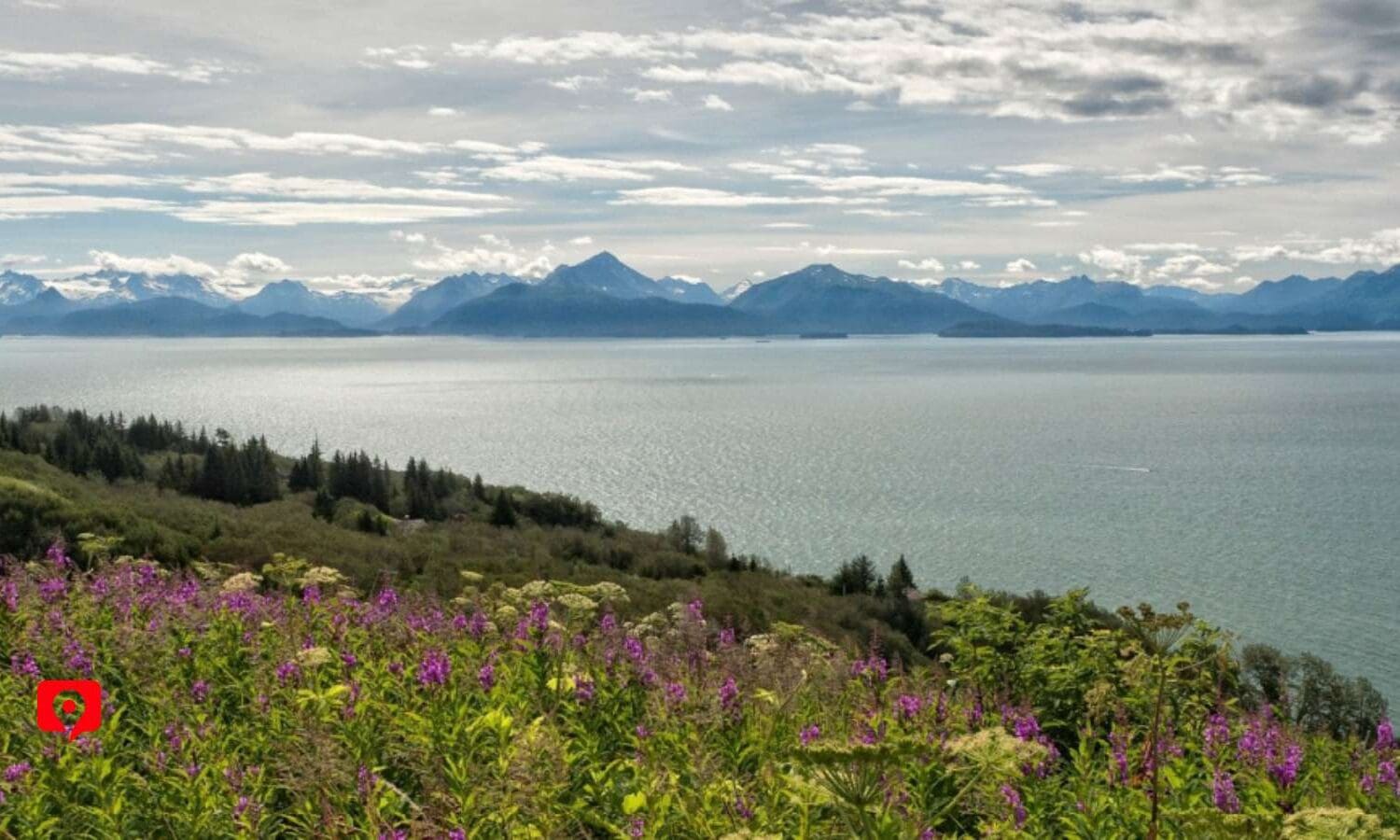 Homer Baycrest Overlook Point