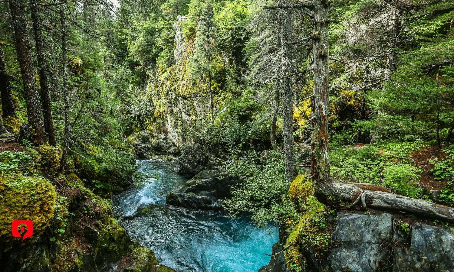 Lower Winner Creek Trail