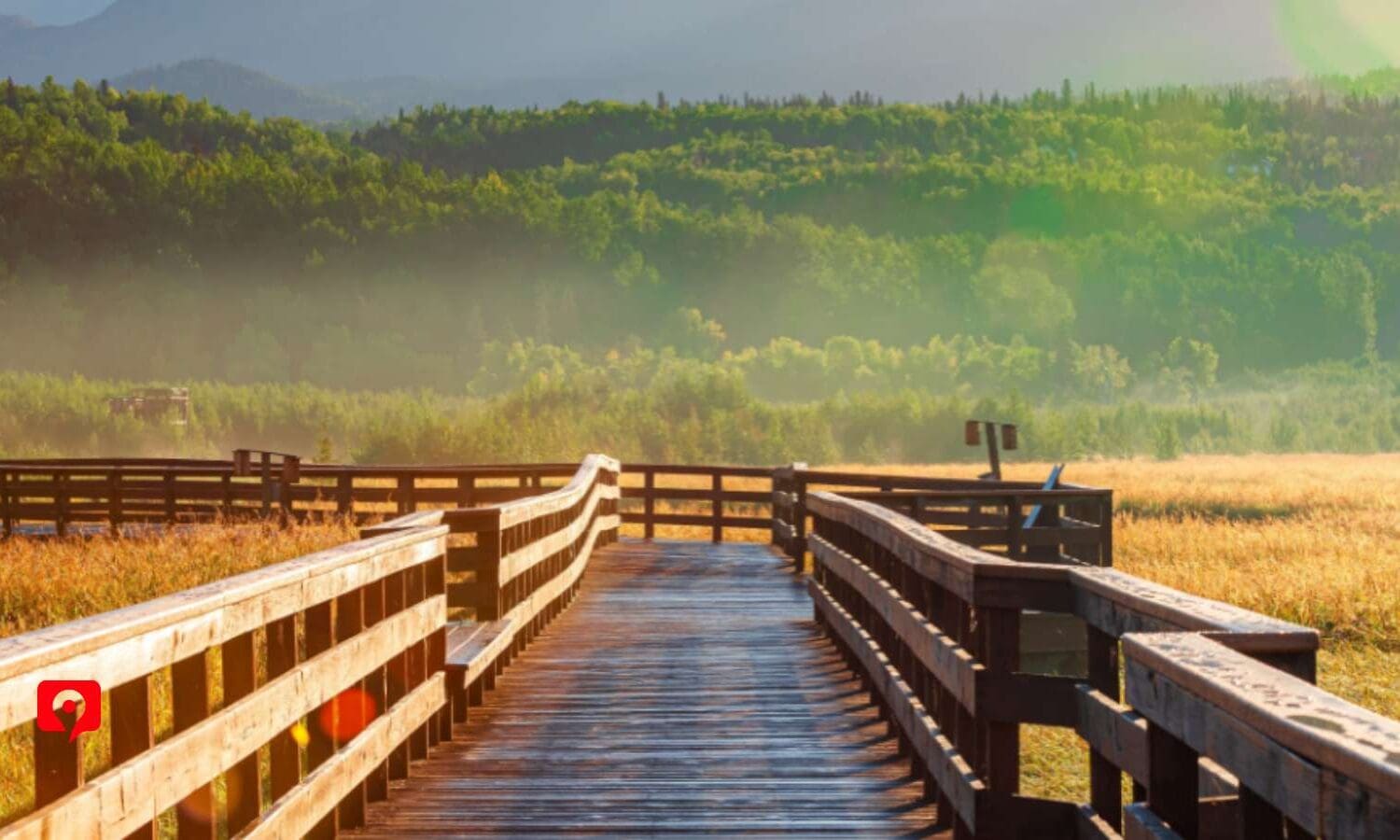 Potter Marsh Wildlife Viewing Boardwalk