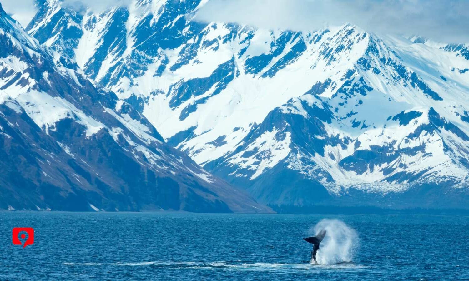 Seward