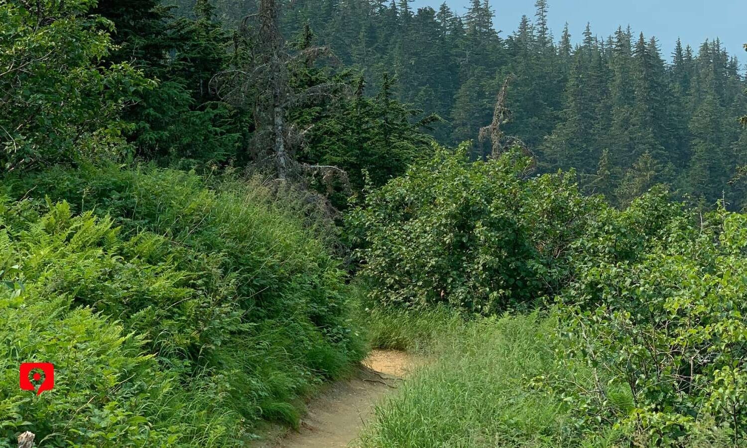 Skyline Trail