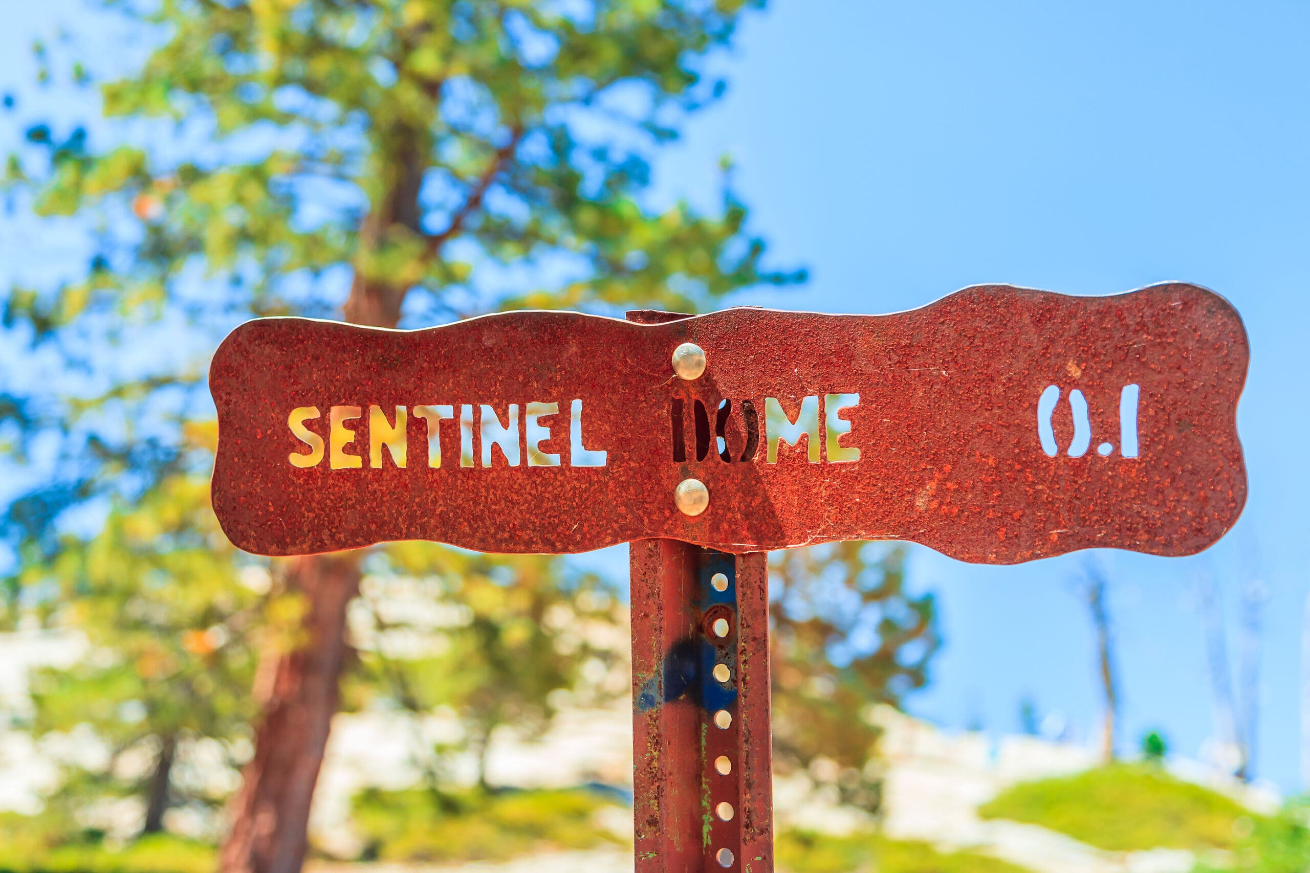 Half & Sentinel Dome