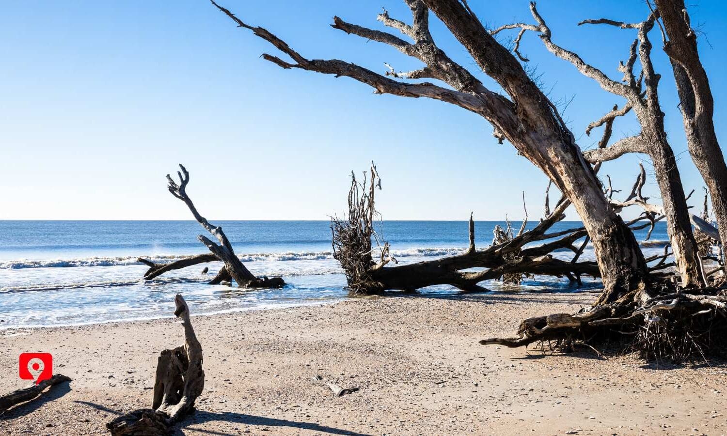 Botany Bay and the Edisto Coast