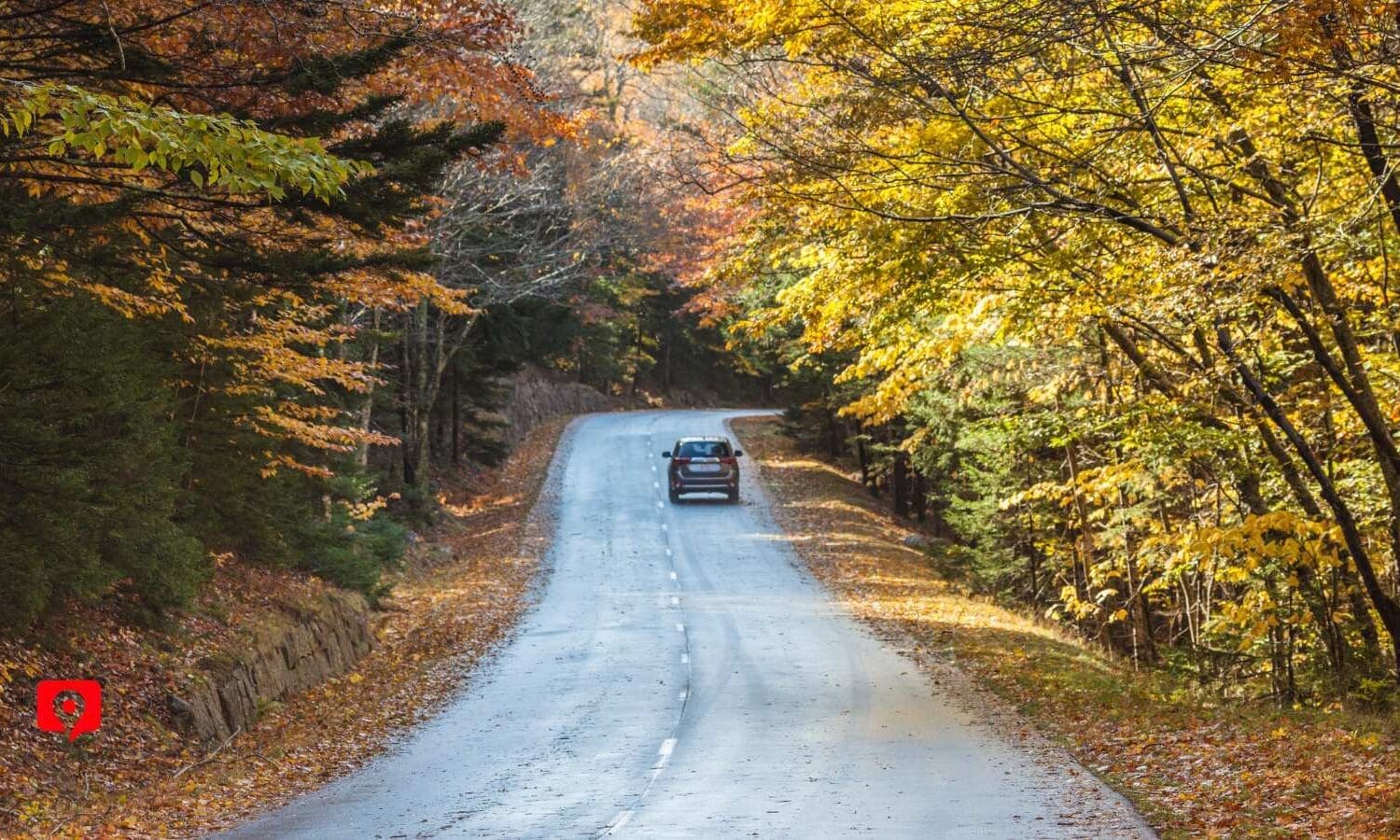 BY CAR