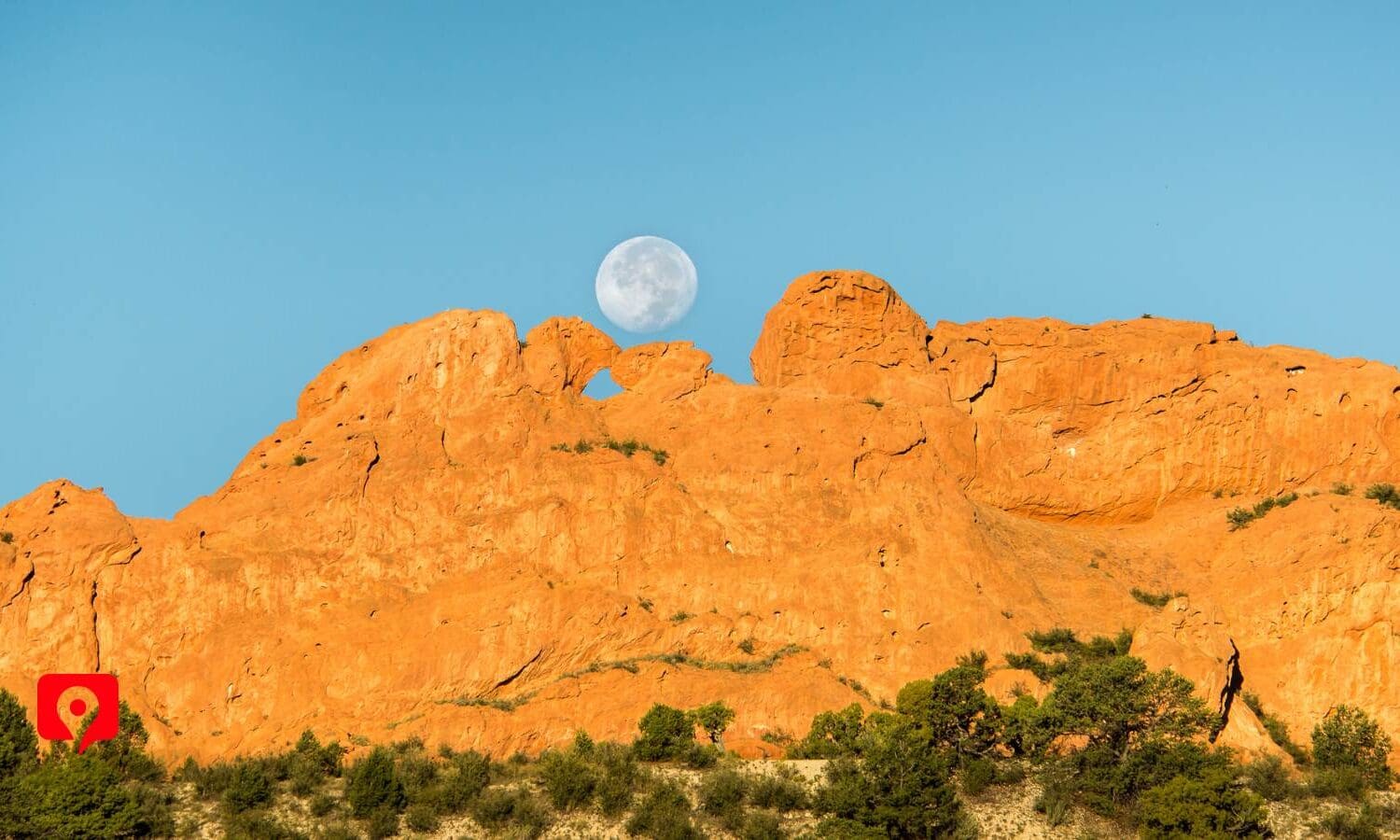 Kissing Camels