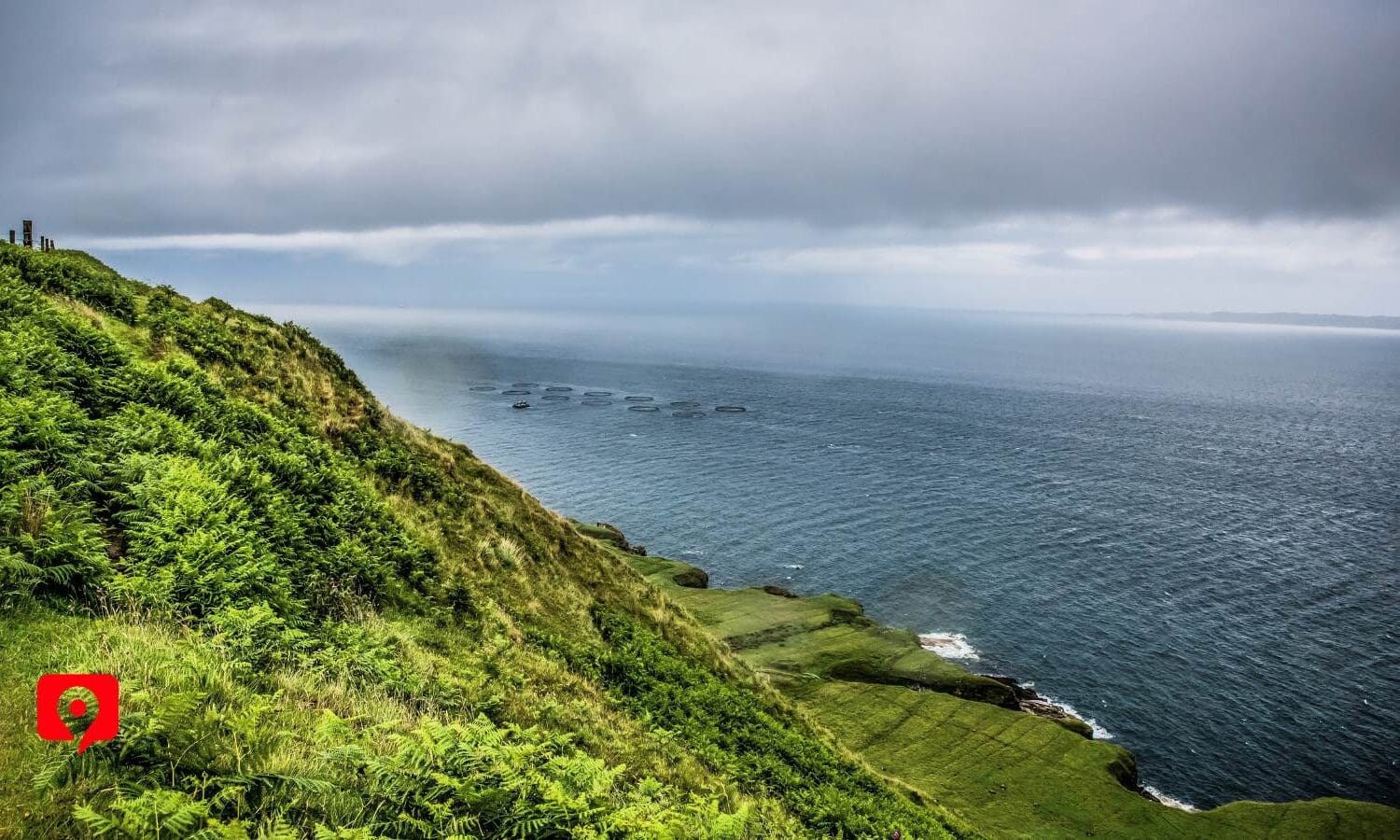 Rigg Viewpoint