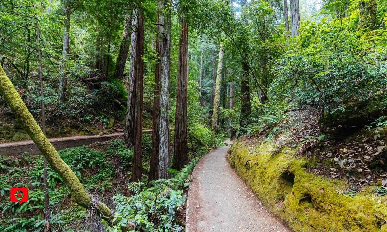 Best Hikes