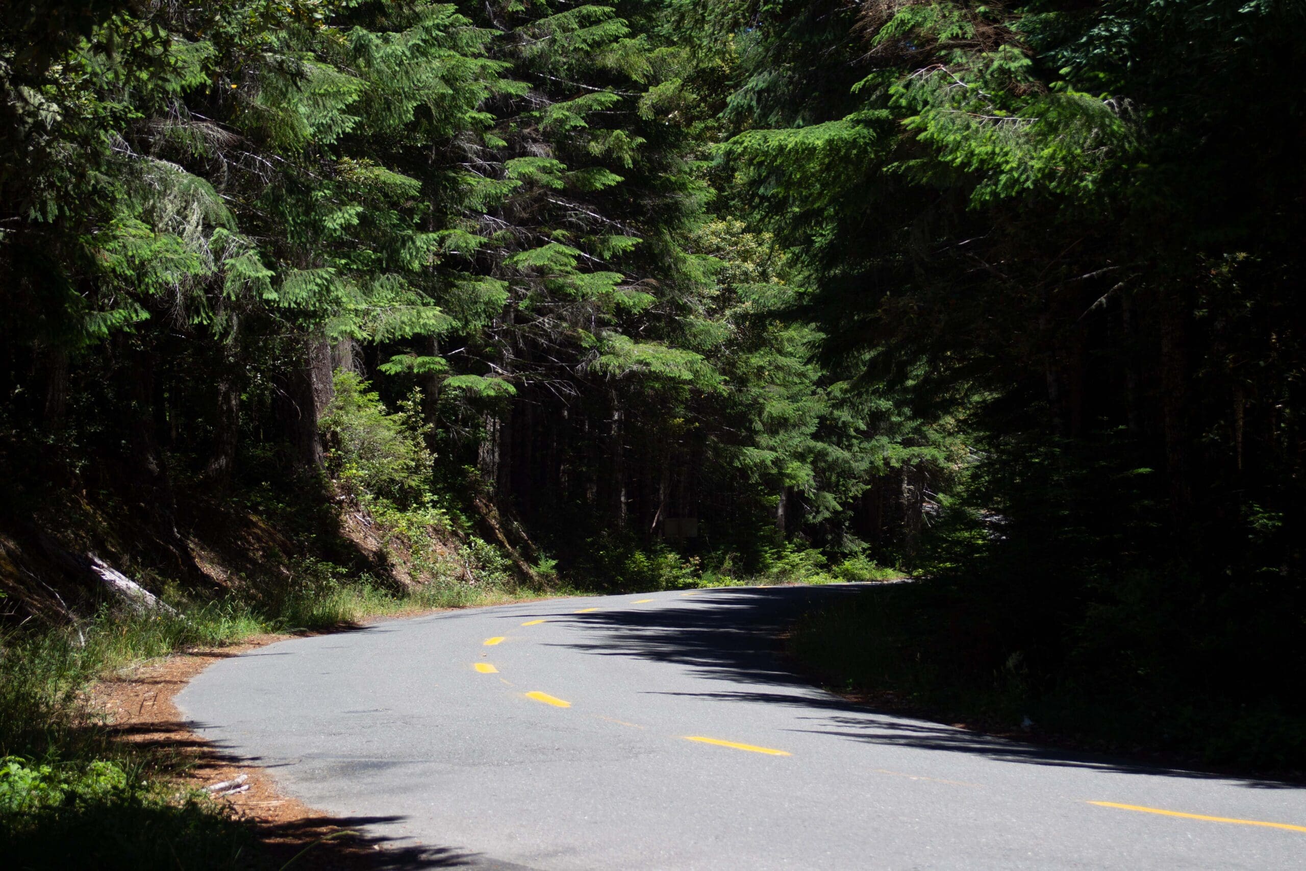 Bald Hills Road